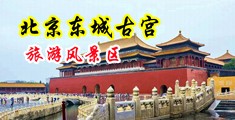 白丝性交中国北京-东城古宫旅游风景区